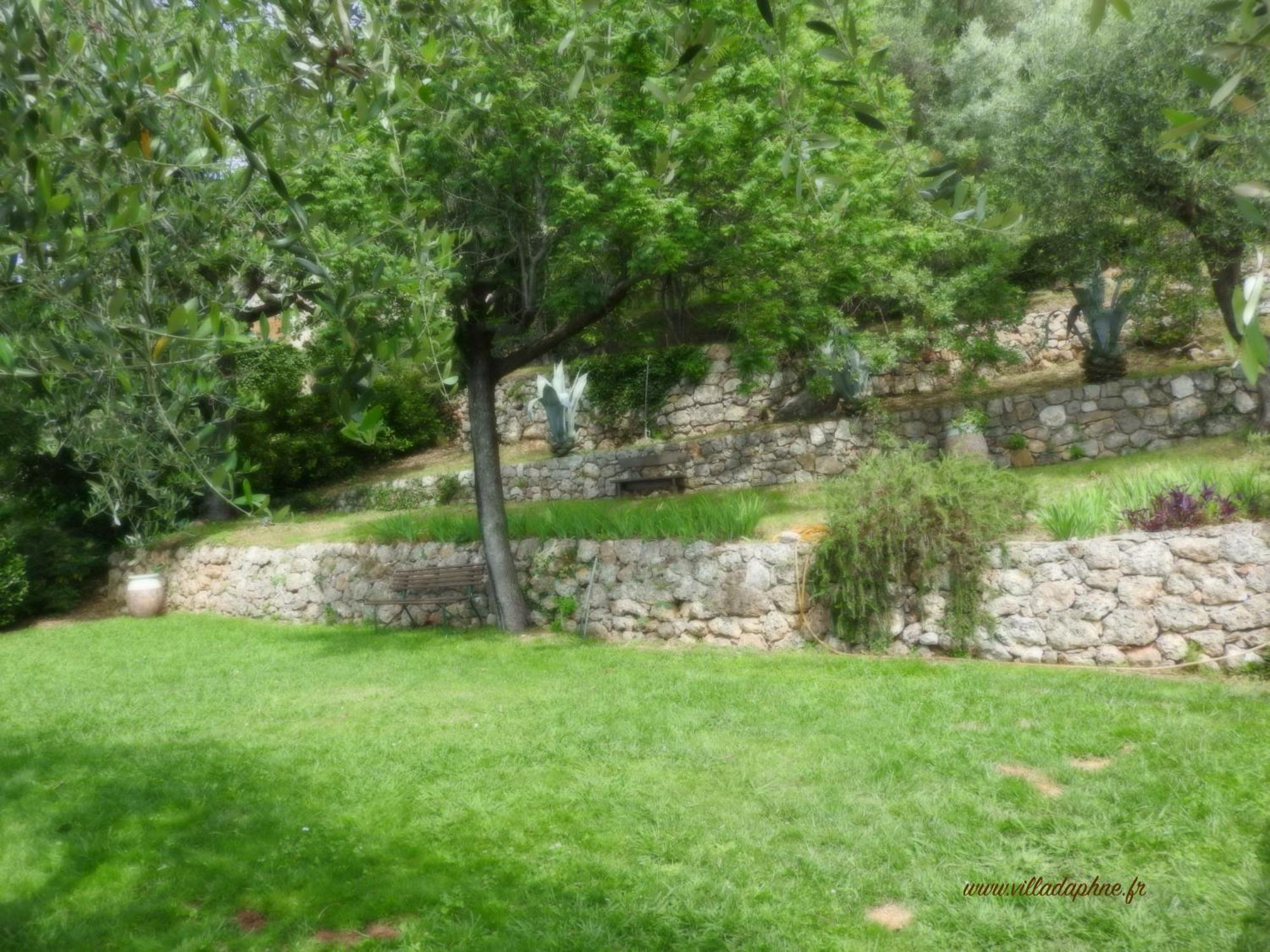 Villa Daphne Spéracèdes Exterior foto